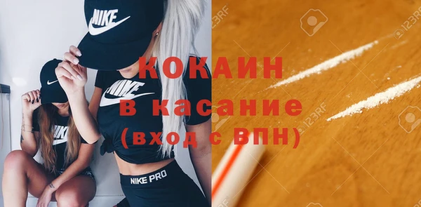 гашик Алексин