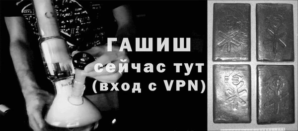 гашик Алексин