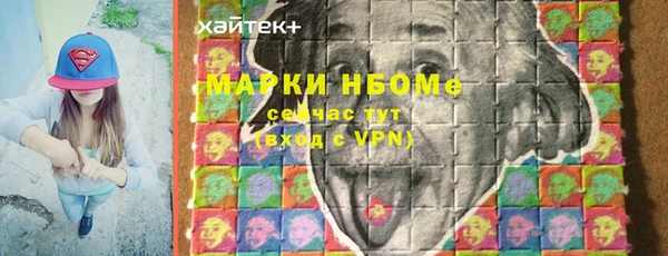 гашик Алексин