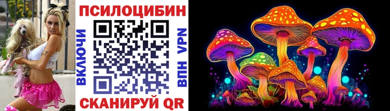 МЕГА   Аркадак  Галлюциногенные грибы мицелий  как найти  